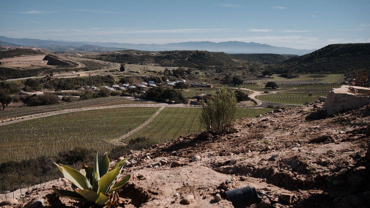 Photo of Others in Nueva Ensenada