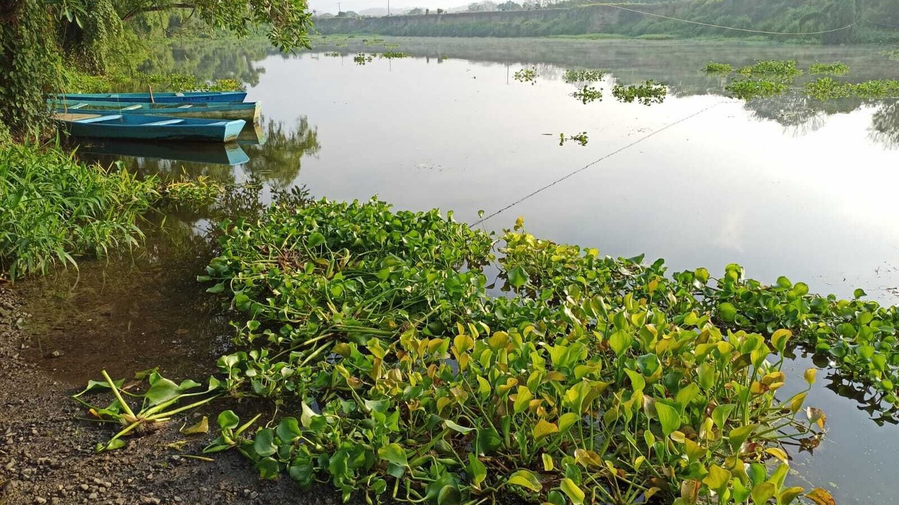 Photo of Outdoor in Cazones de Herrera