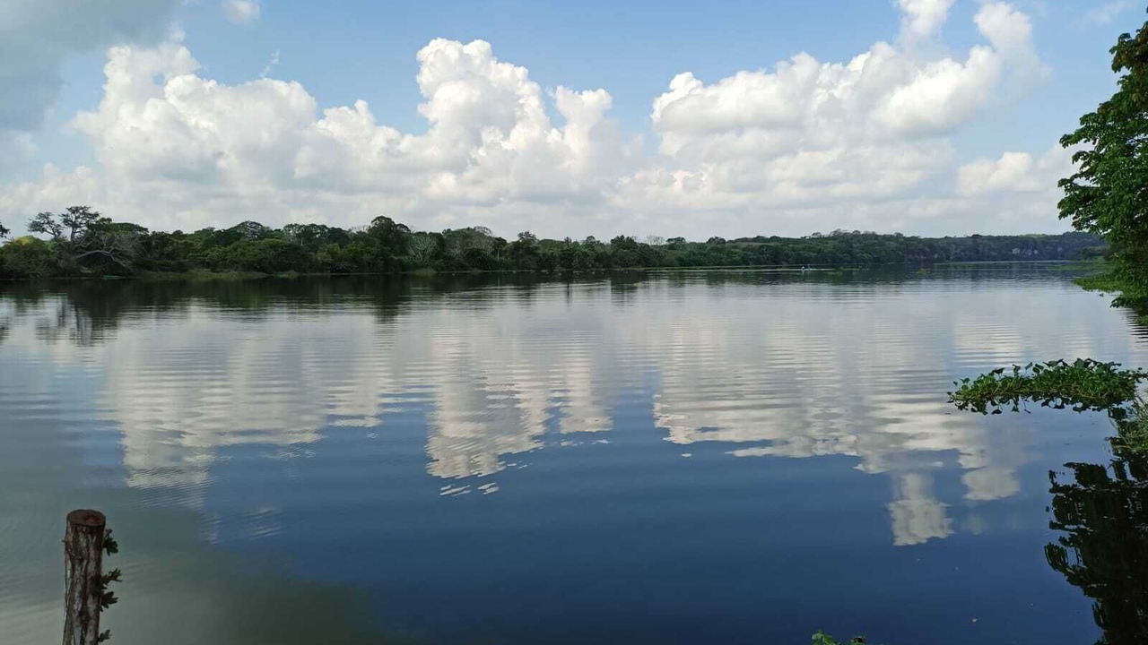 Photo of Outdoor in Cazones de Herrera