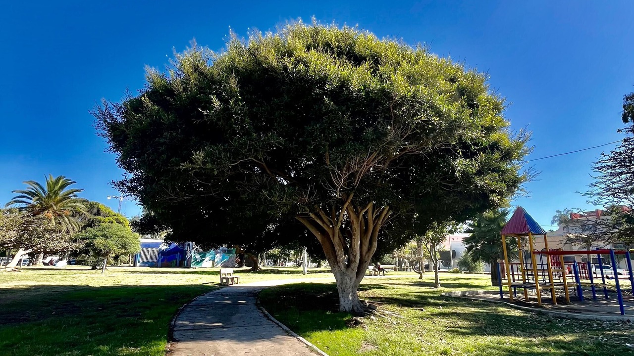 Photo of Outdoor in Playas de Tijuana