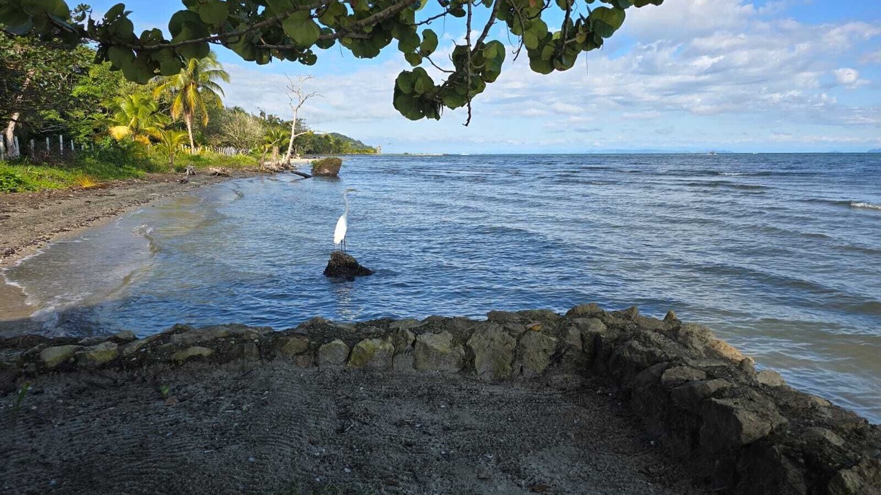 Photo of Others in Puerto Barrios