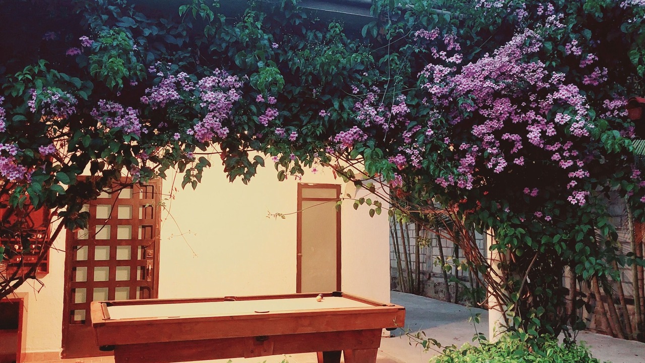 Photo of Patio Balcony in Yautepec