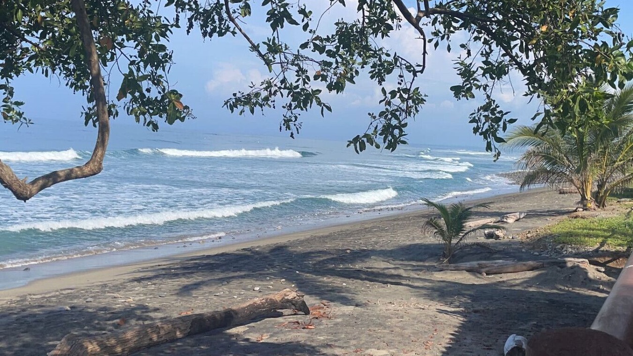 Photo of Others in Saladita