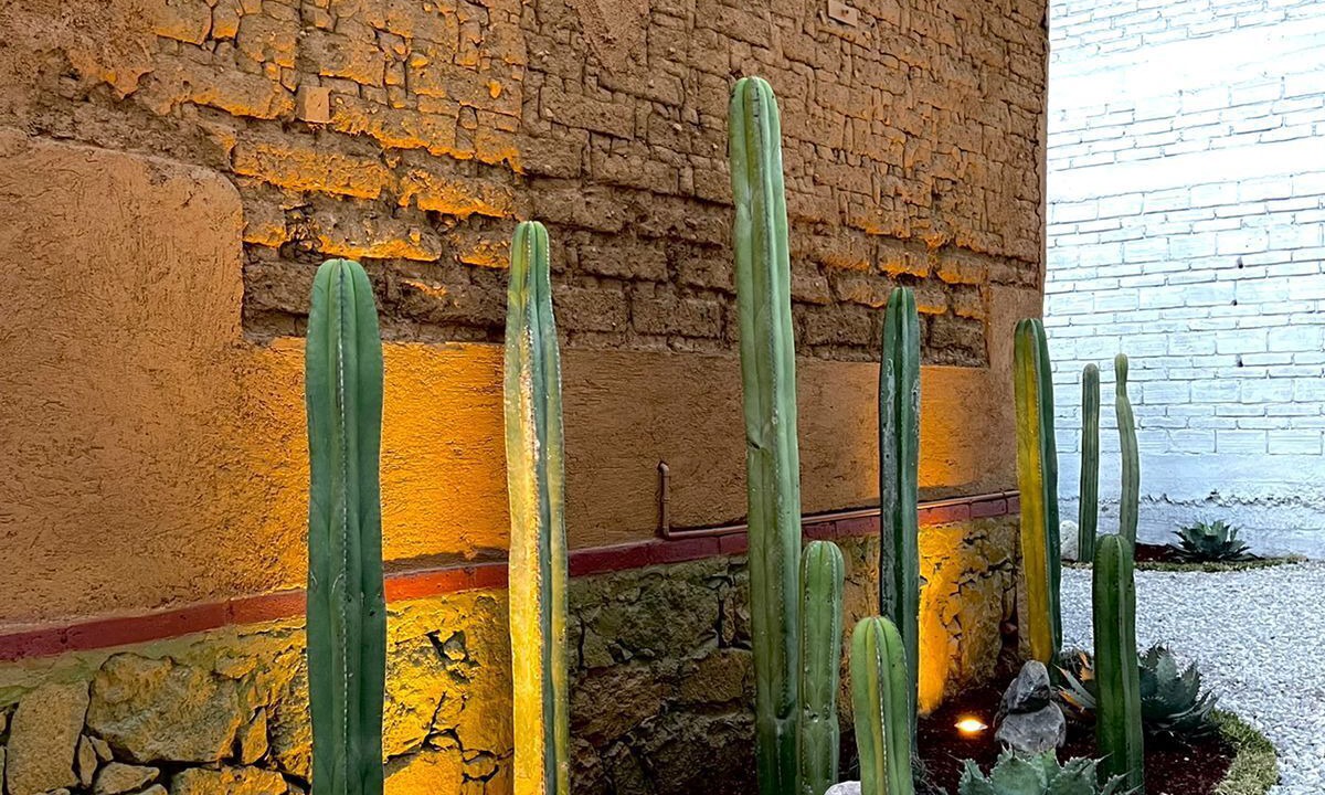 Photo of Outdoor in Tlacolula de Matamoros