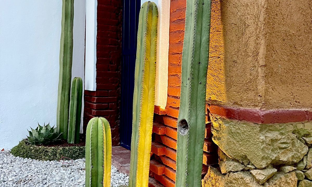 Photo of Outdoor in Tlacolula de Matamoros