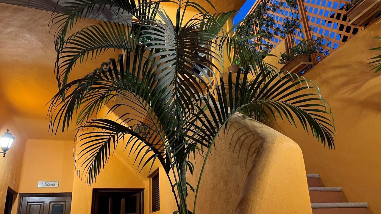 Photo of Outdoor in Boca de Tomatlan
