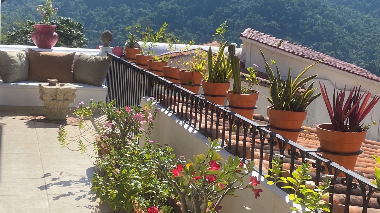 Photo of Outdoor in South Shore Hotel Area
