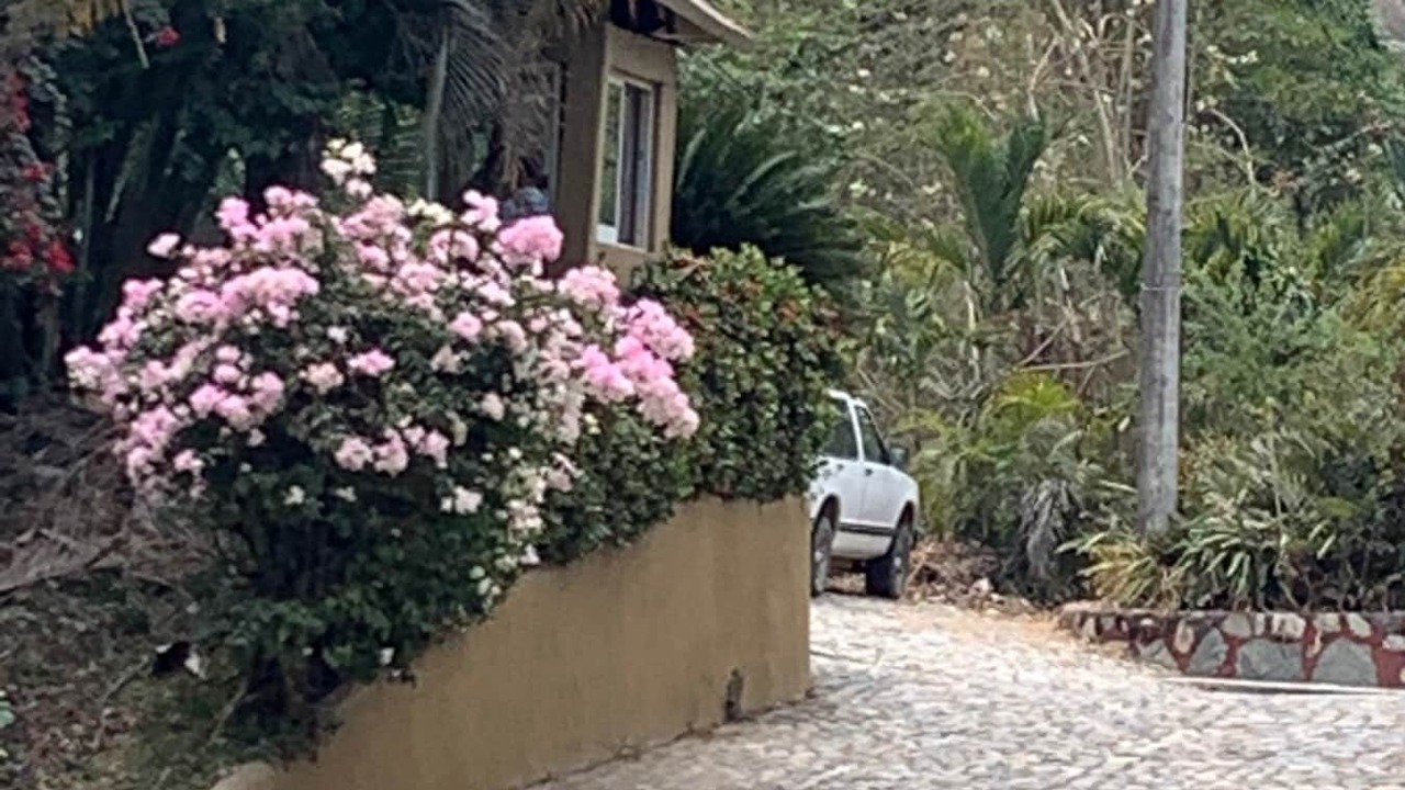Photo of Others in Boca de Tomatlan