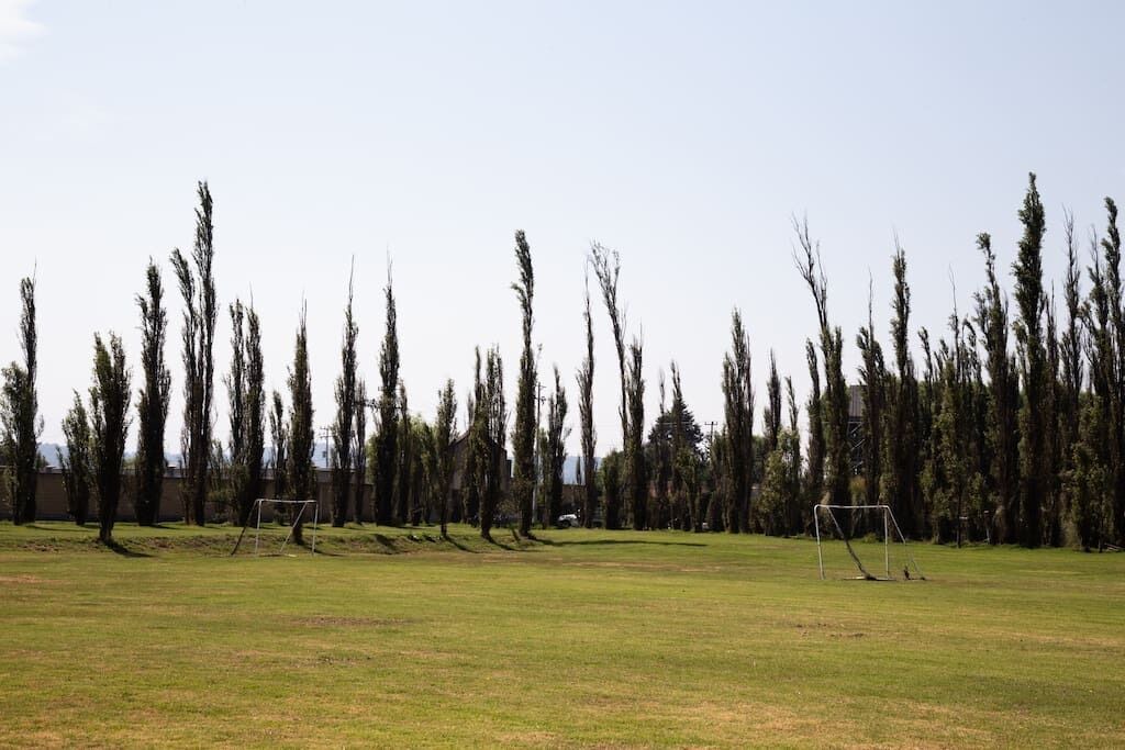 Photo of Others in Mexico