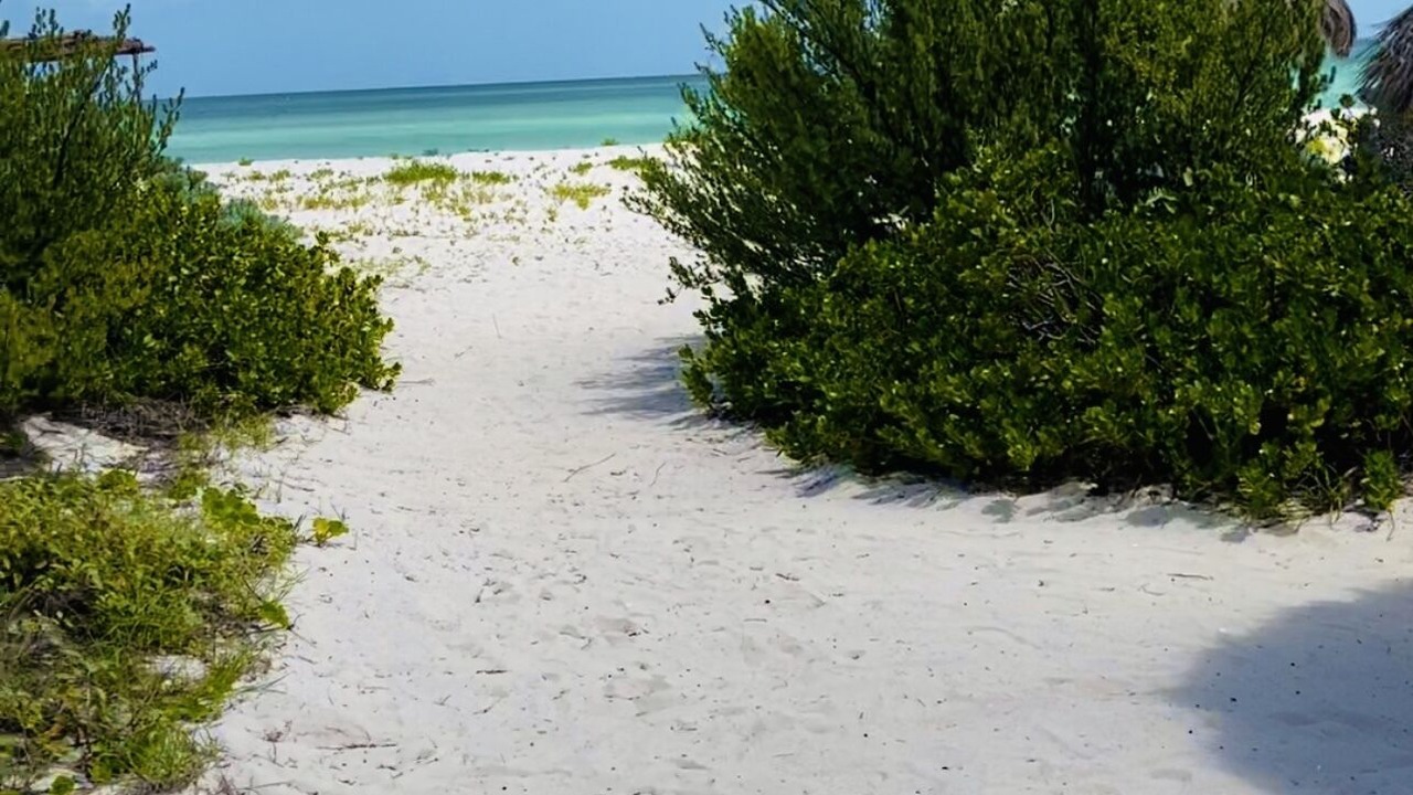 Photo of Others in Sisal