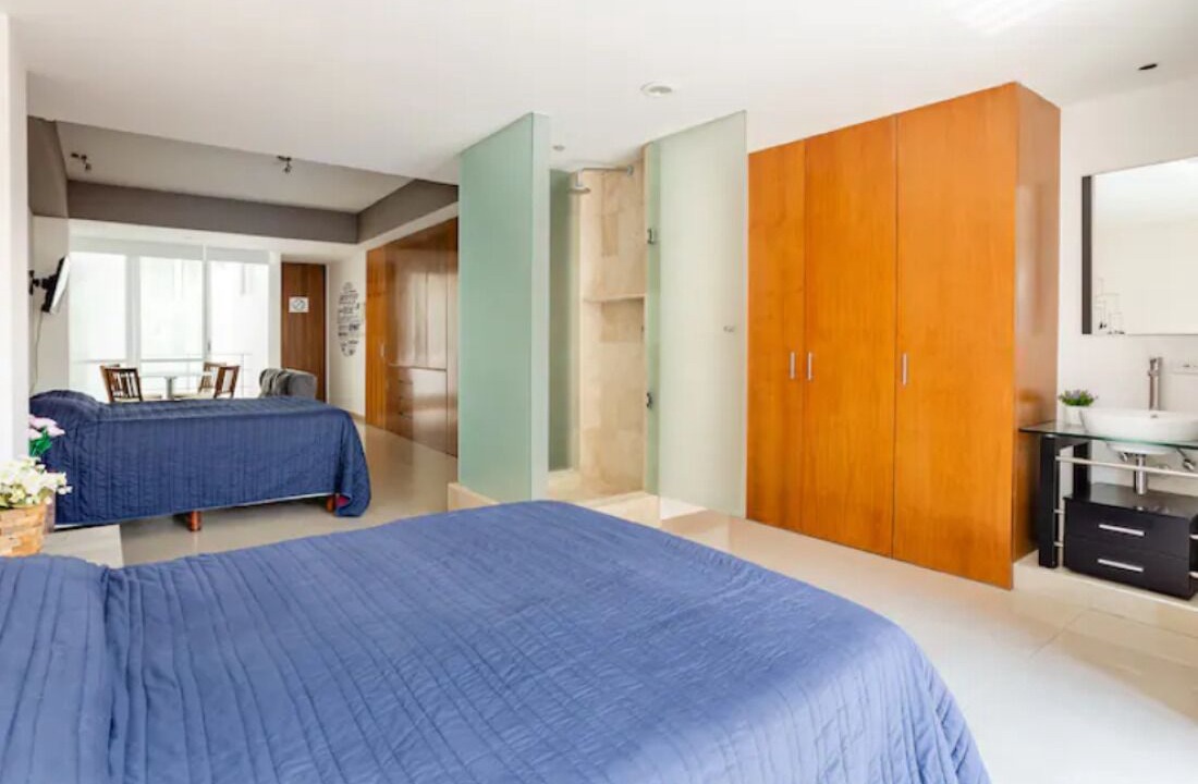 Photo of Bedroom in Polanco
