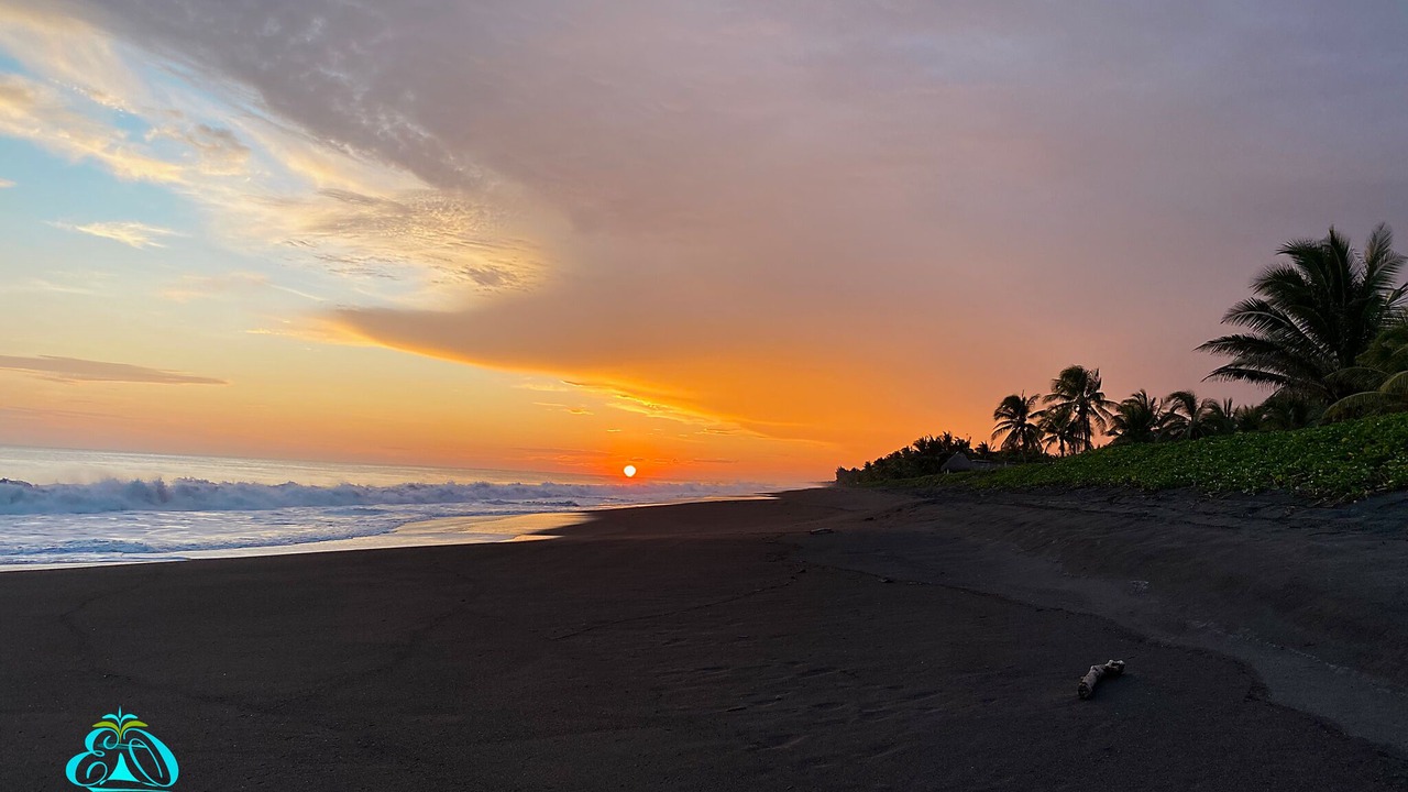 Photo of Others in Monterrico
