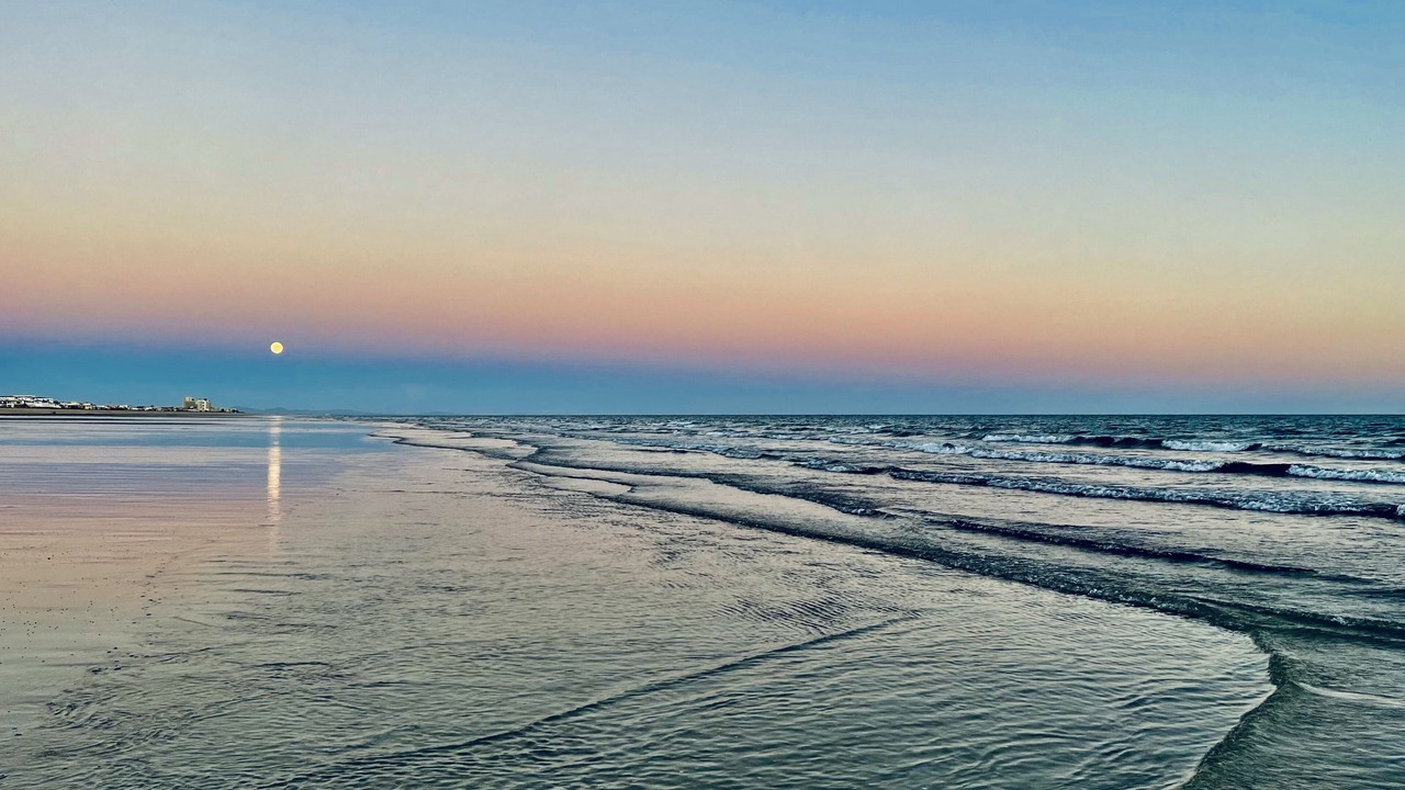 Photo of Others in Puerto Penasco