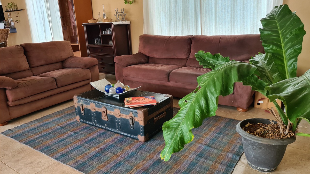 Photo of Livingroom in Merida