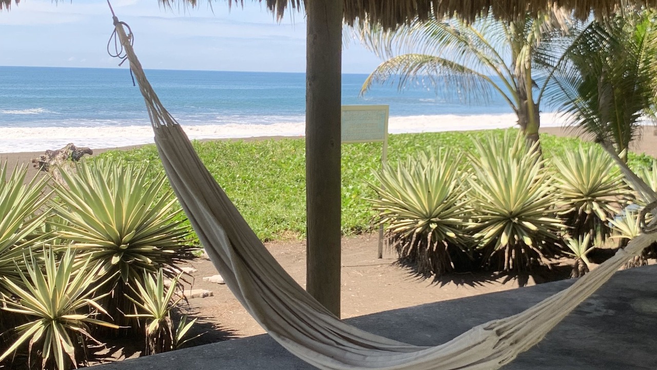 Photo of Others in Monterrico