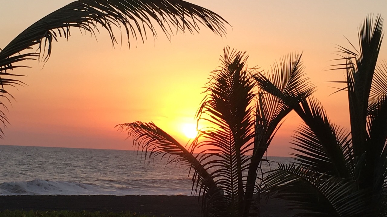 Photo of Others in Monterrico