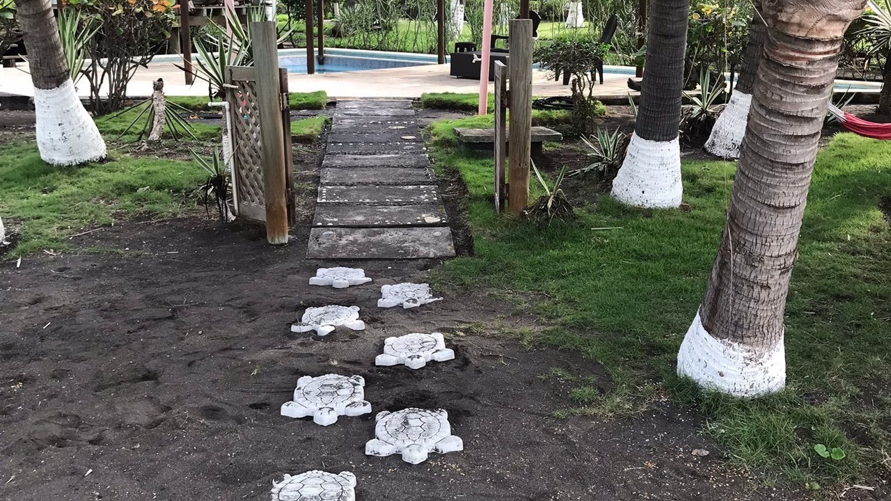 Photo of Outdoor in Monterrico