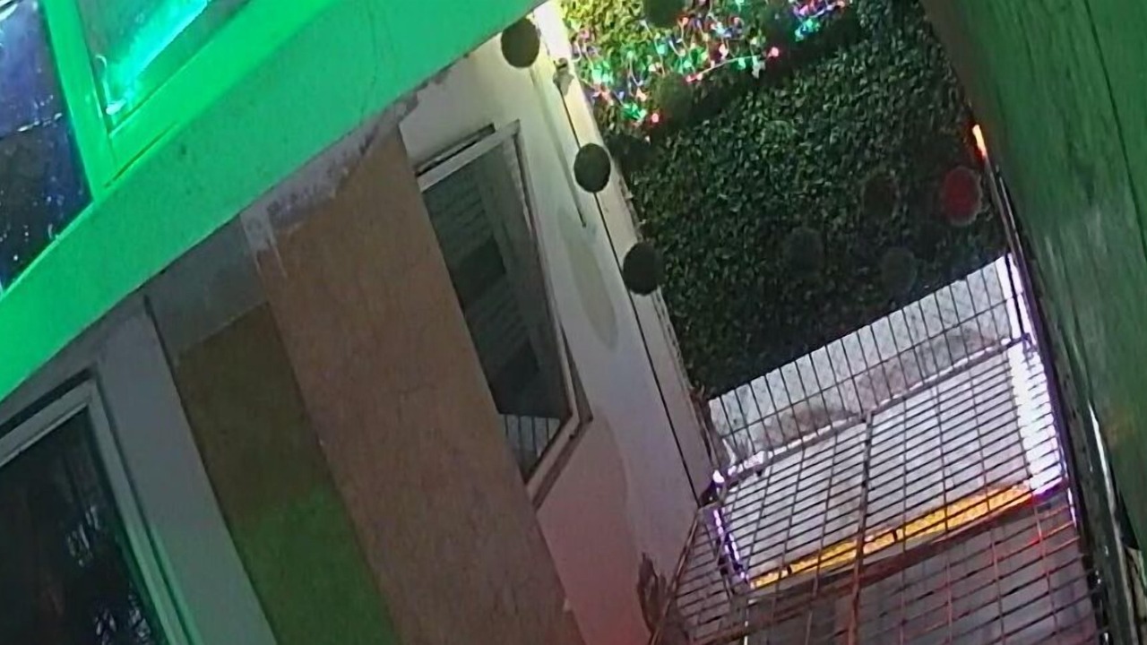 Photo of Outdoor in Guadalajara
