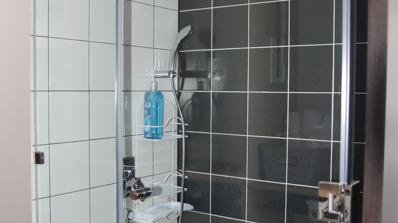 Photo of Bathroom in Zona 16