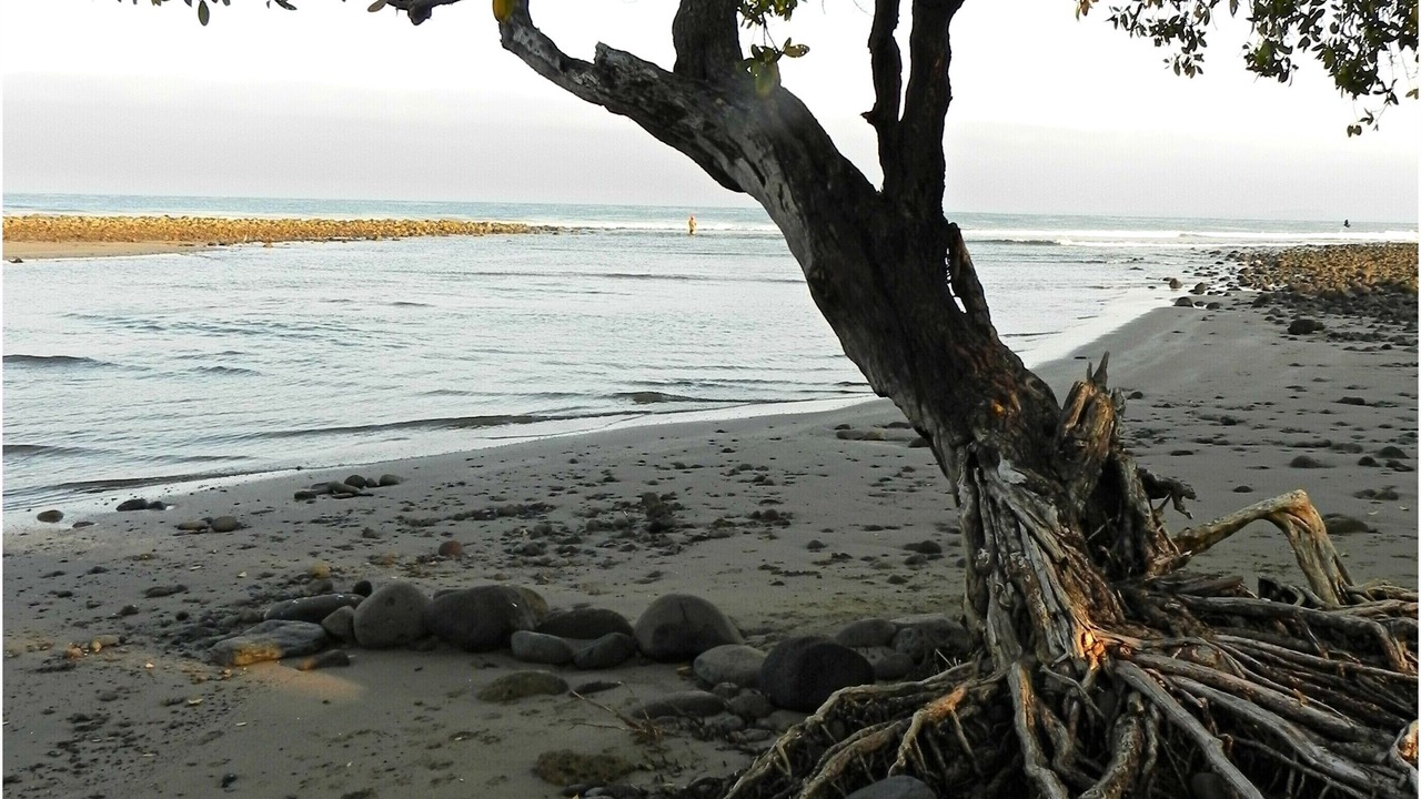 Photo of Others in Santa Cruz