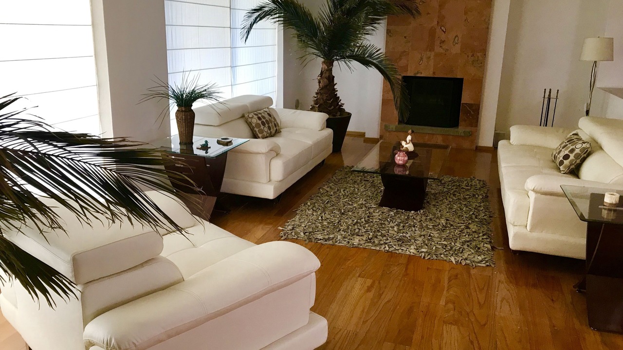 Photo of Livingroom in Queretaro