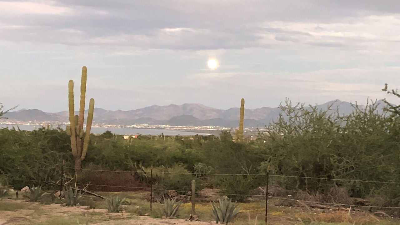 Photo of Outdoor in El Centenario