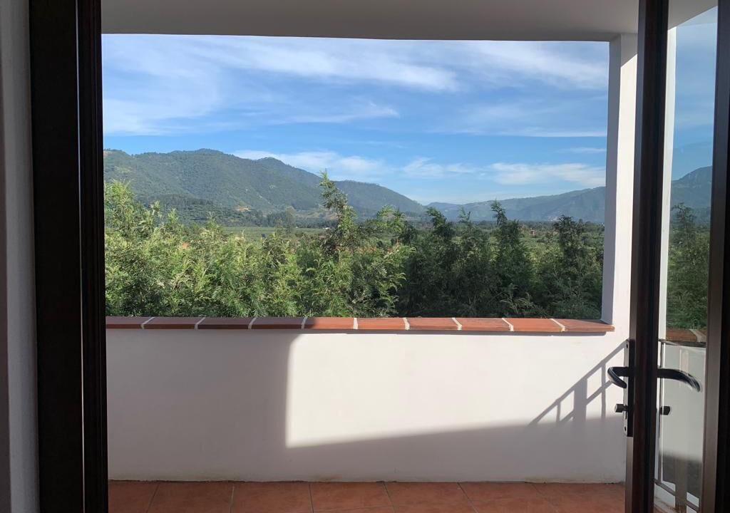 Photo of Patio Balcony in Zona 6