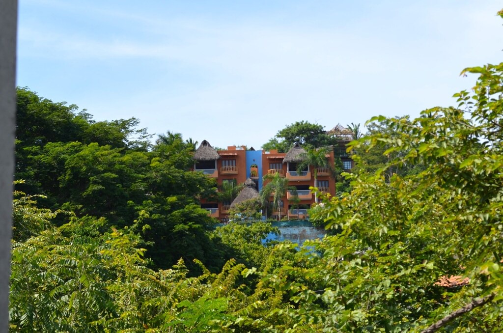Photo of Others in Sayulita