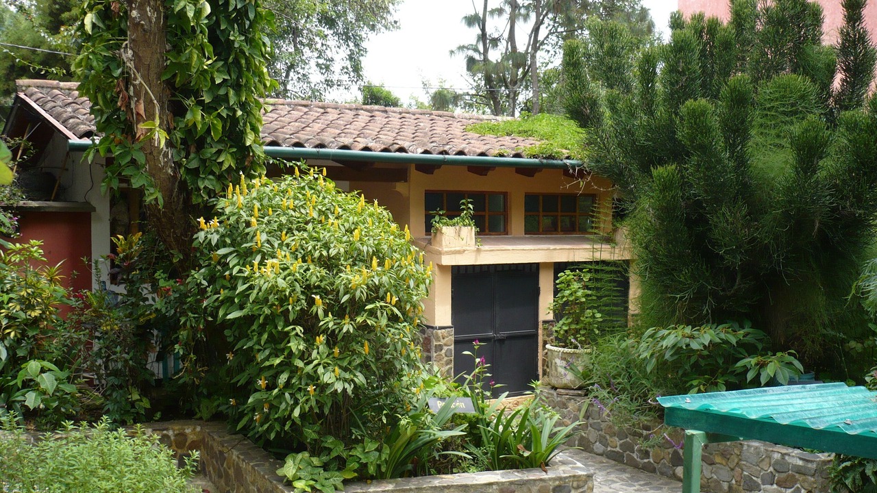 Photo of Outdoor in Panajachel