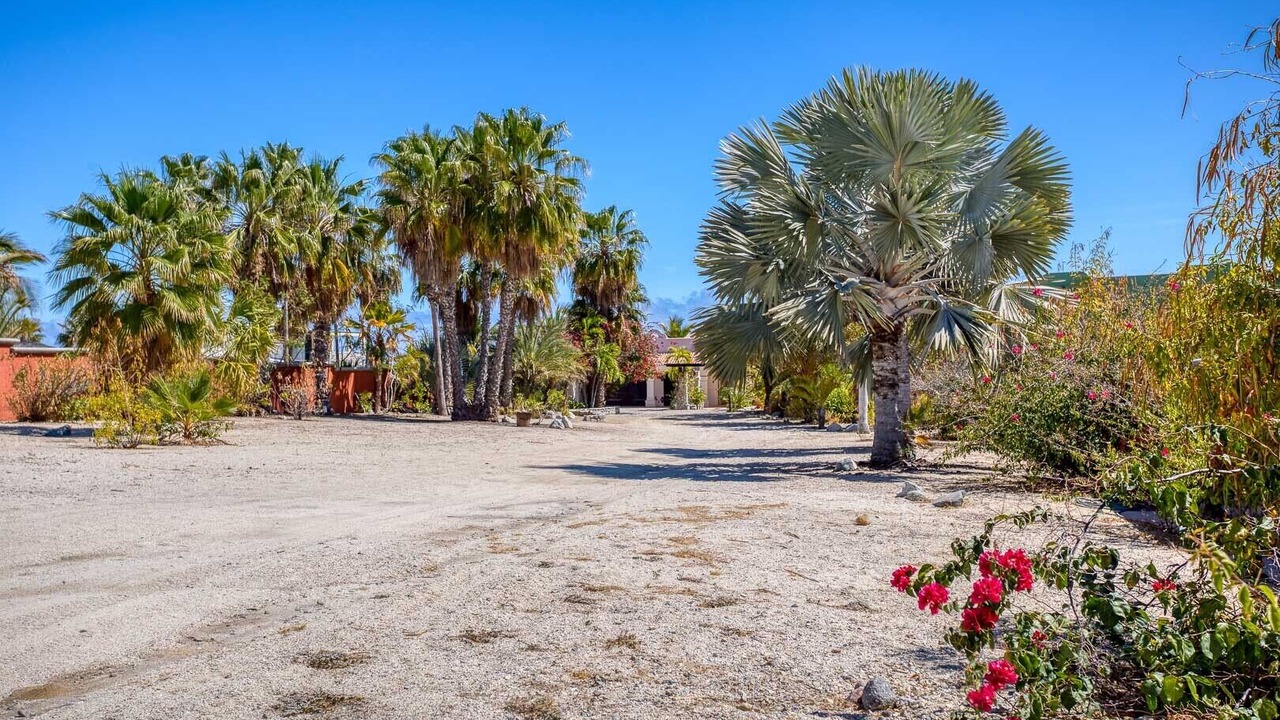 Photo of Outdoor in Los Barriles