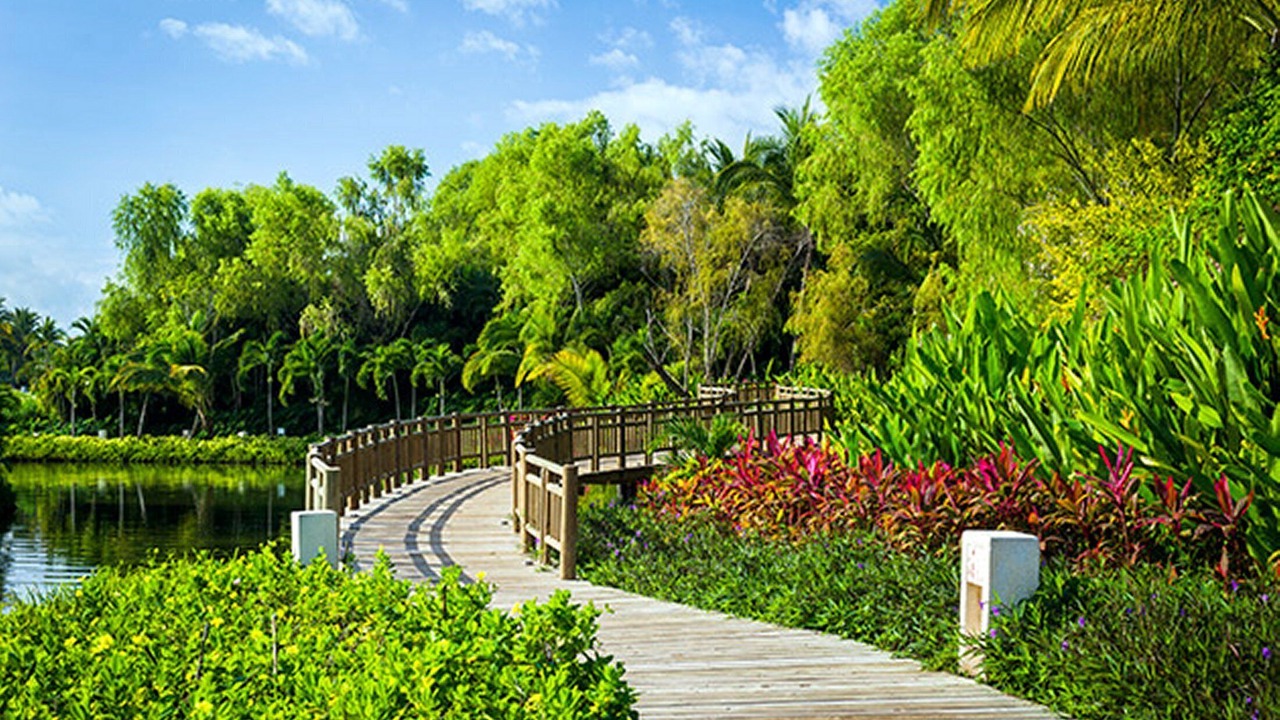 Photo of Outdoor in Nuevo Vallarta