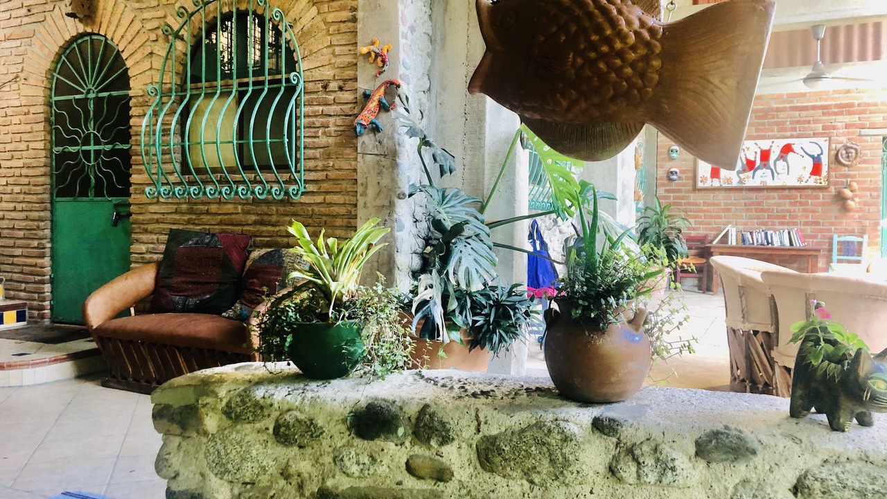 Photo of Outdoor in Boca de Tomatlan