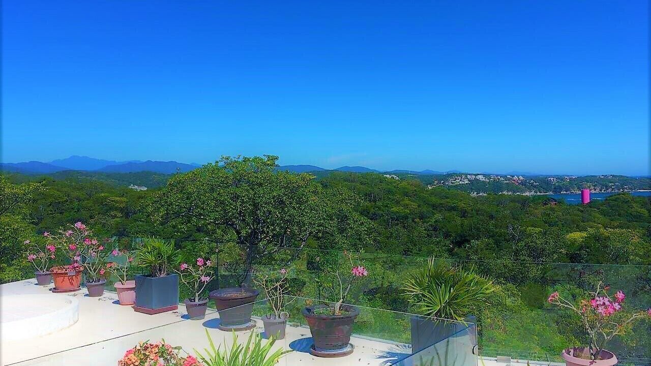Photo of Outdoor in Santa Maria Huatulco