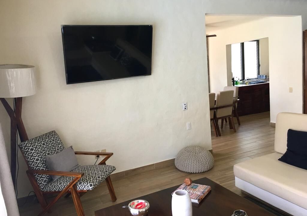 Photo of Livingroom in Fluvial Vallarta