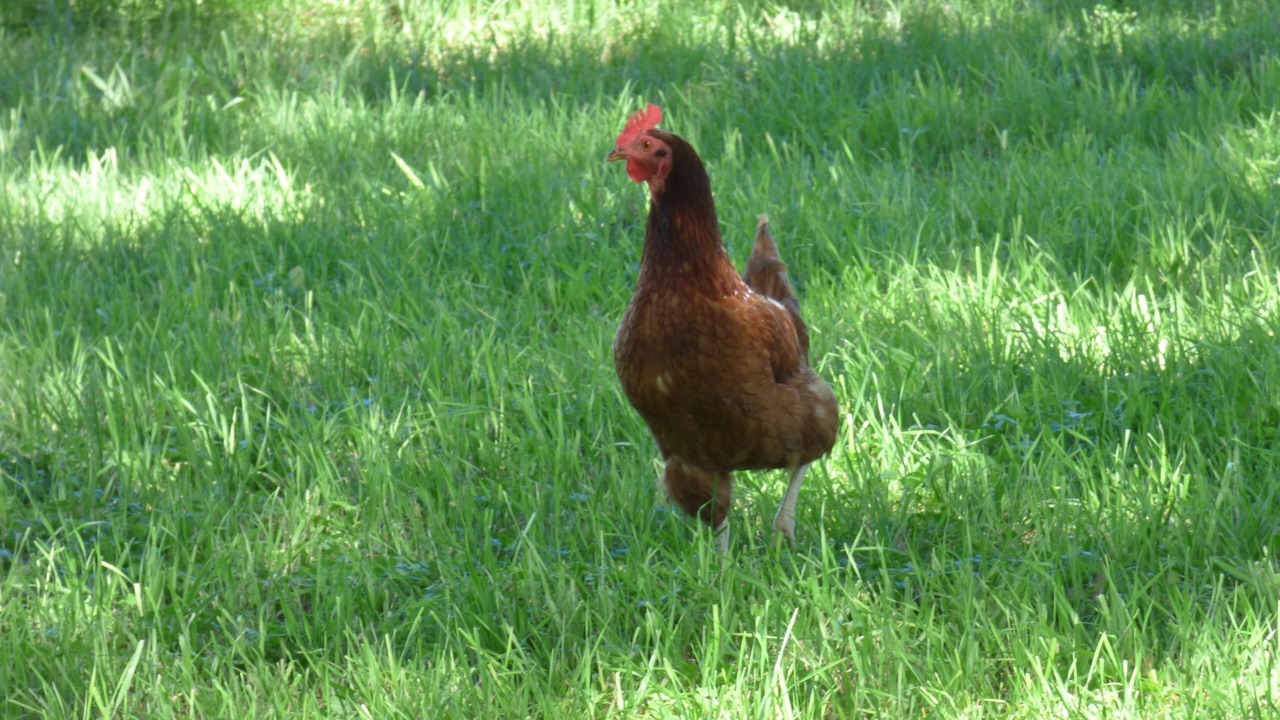 Photo of Others in Fredericksburg