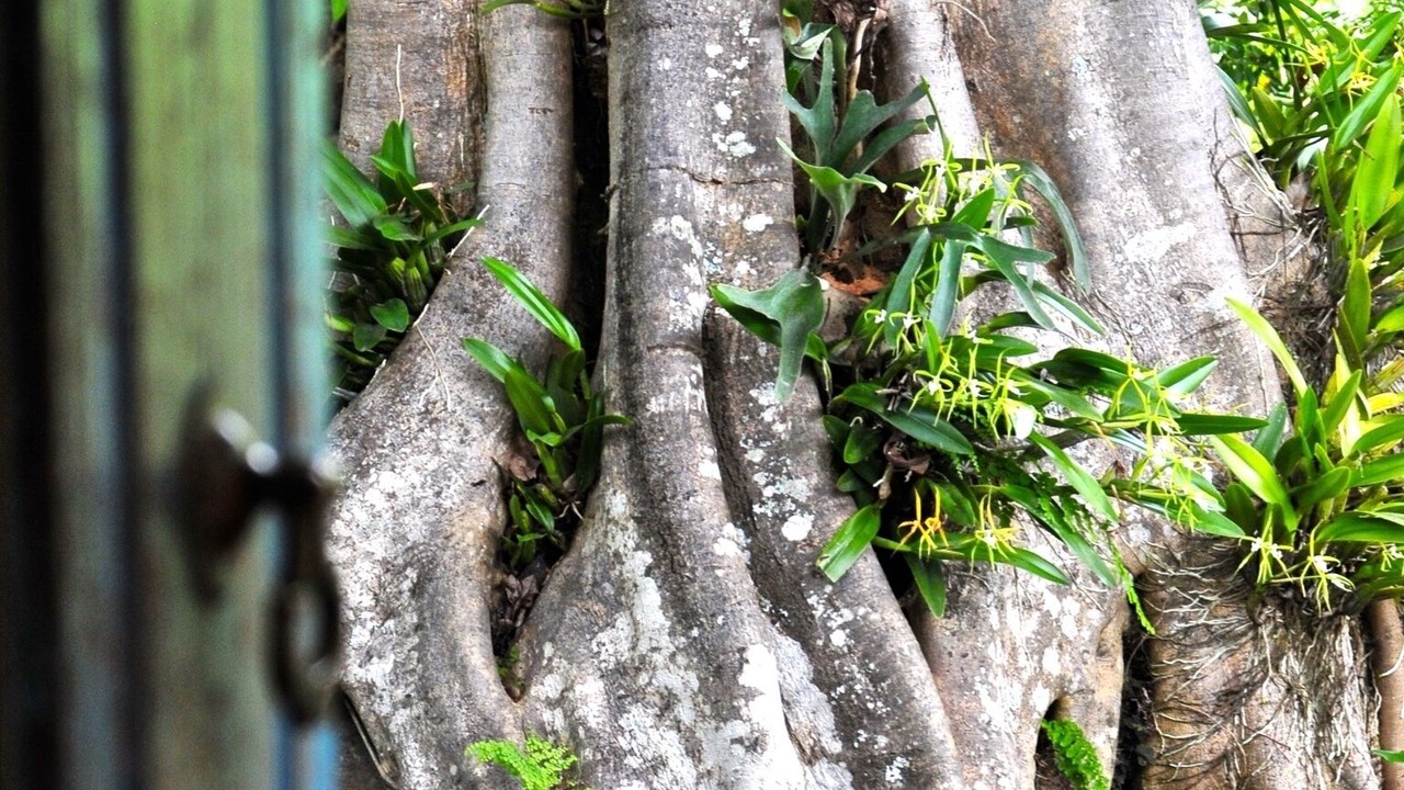 Photo of Outdoor in San Lucas Toliman