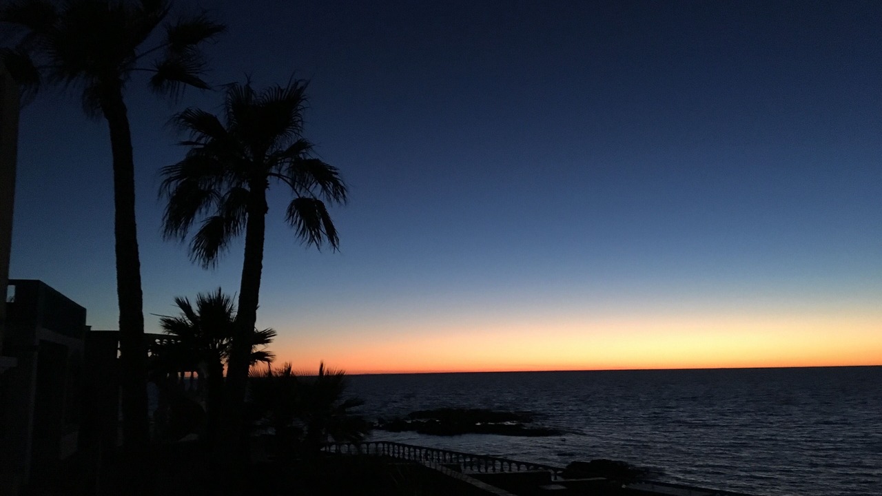 Photo of Others in Cholla Bay
