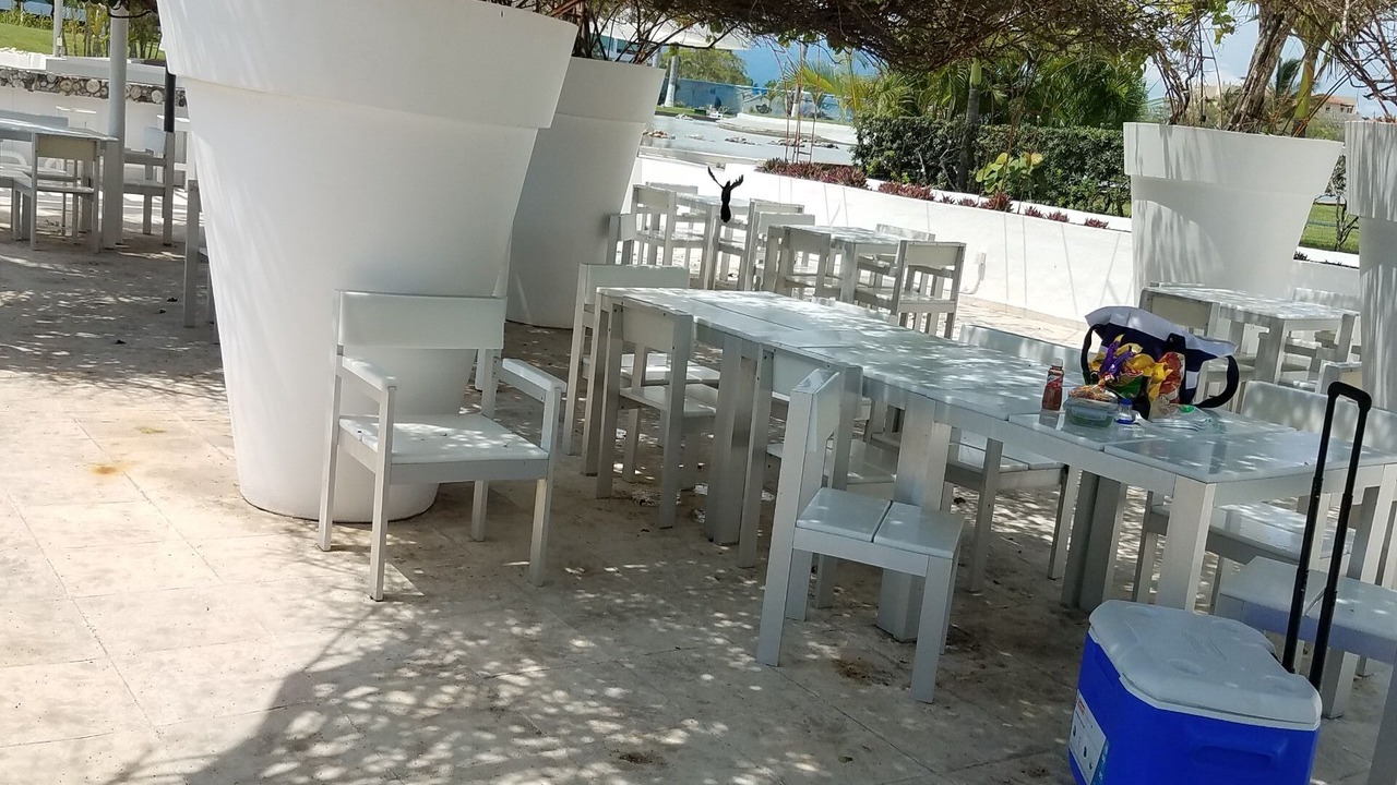 Photo of Others in Flamingos