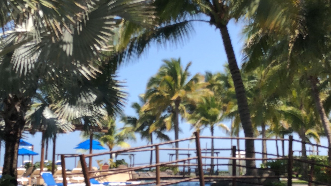 Photo of Outdoor in Monterrico