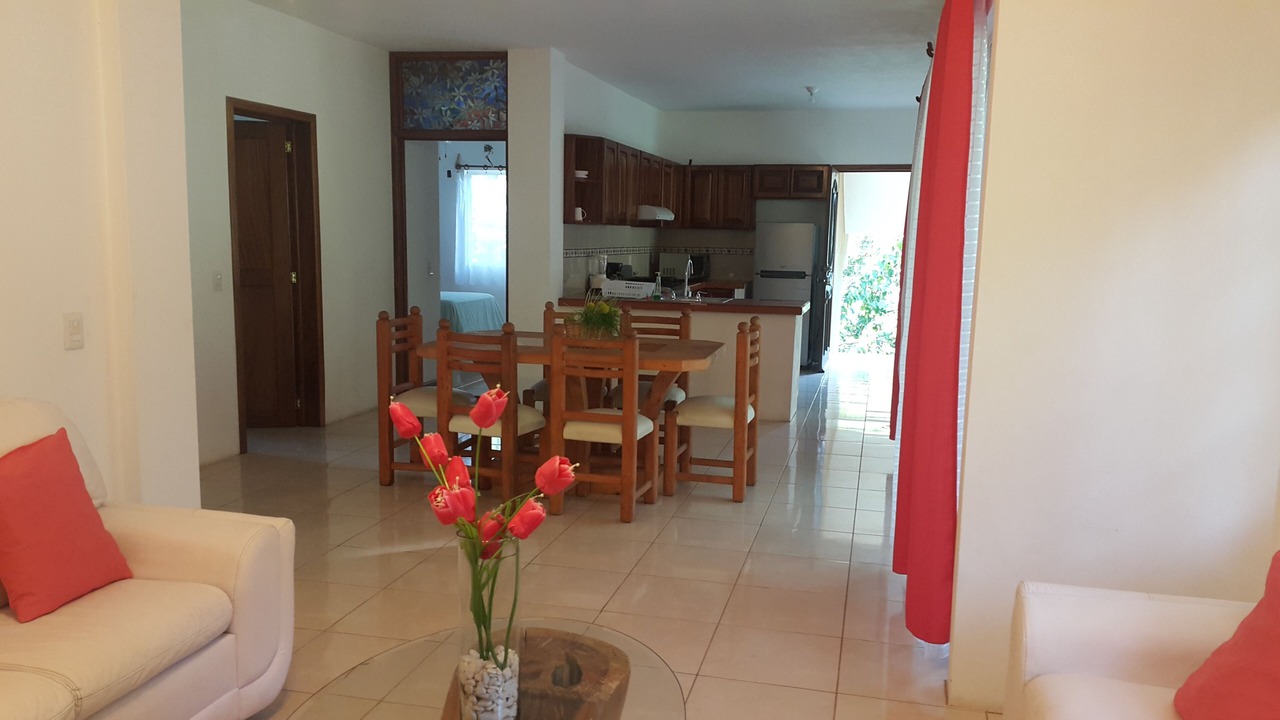 Photo of Others in Boca de Tomatlan