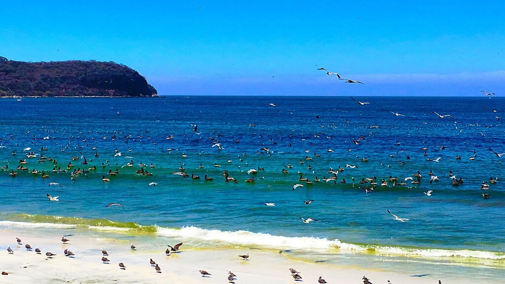 Photo of Others in Punta Negra