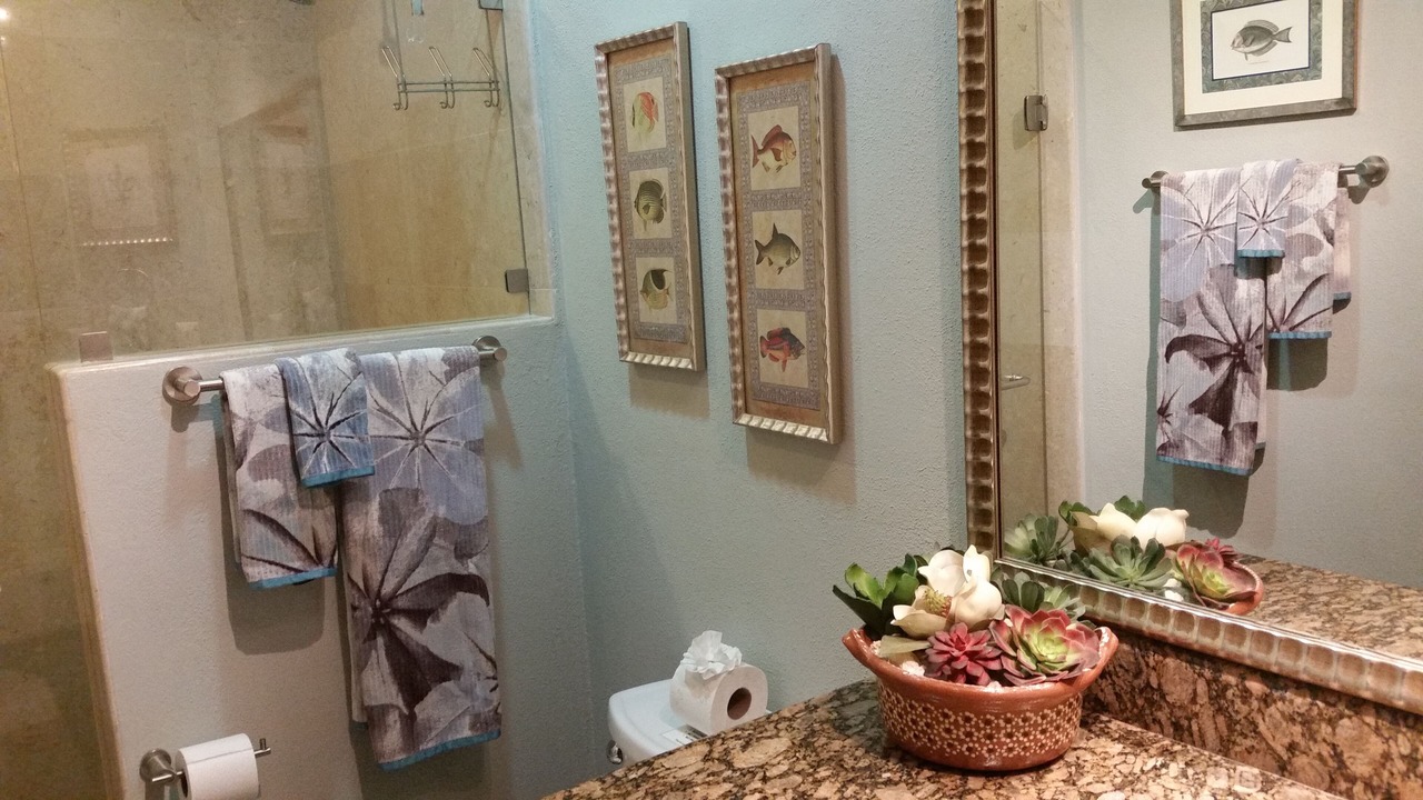 Photo of Bathroom in Emiliano Zapata