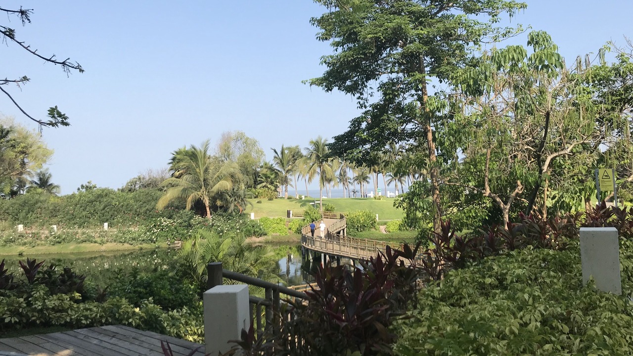 Photo of Others in Nuevo Vallarta