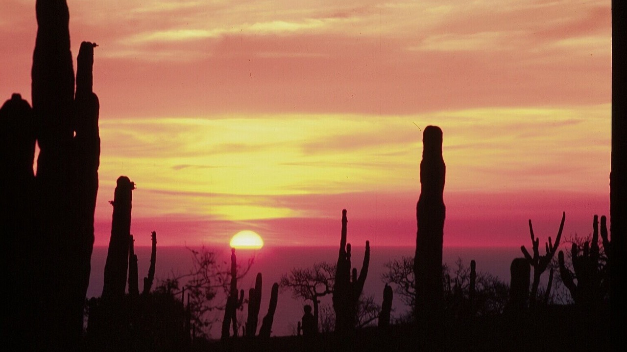 Photo of Others in Los Frailes