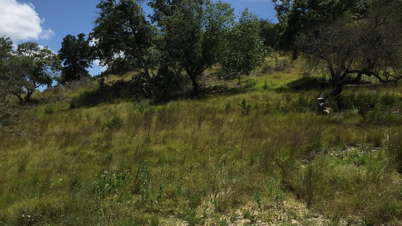 Photo of Outdoor in Ingram