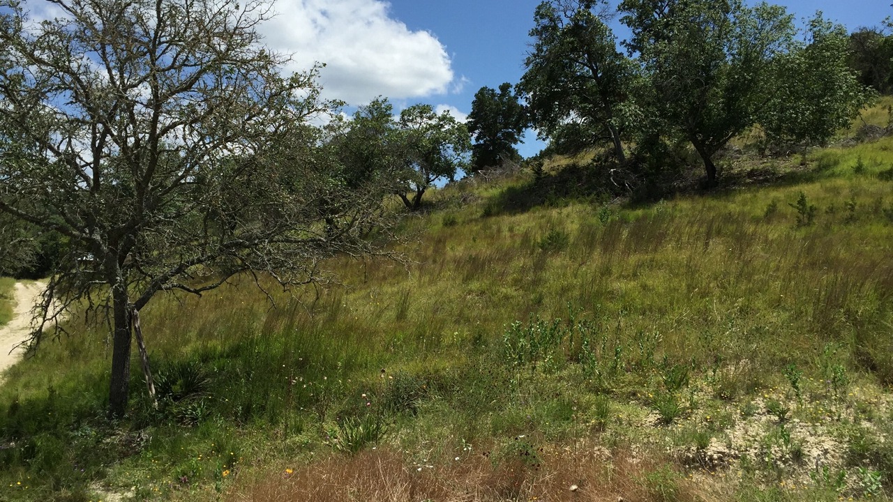 Photo of Outdoor in Ingram