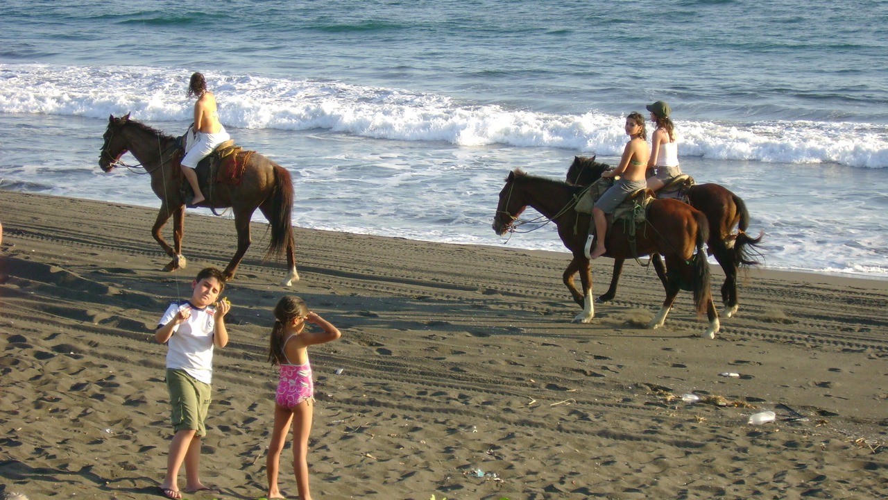 Photo of Others in Monterrico