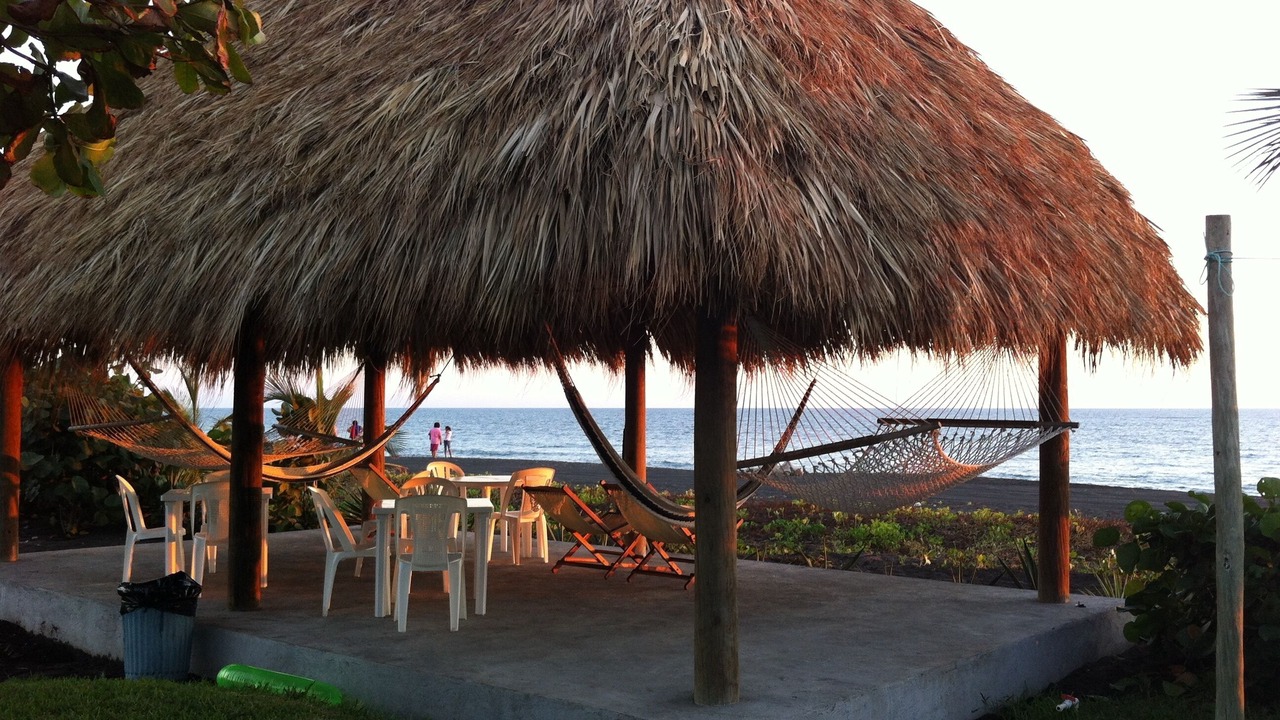 Photo of Others in Monterrico
