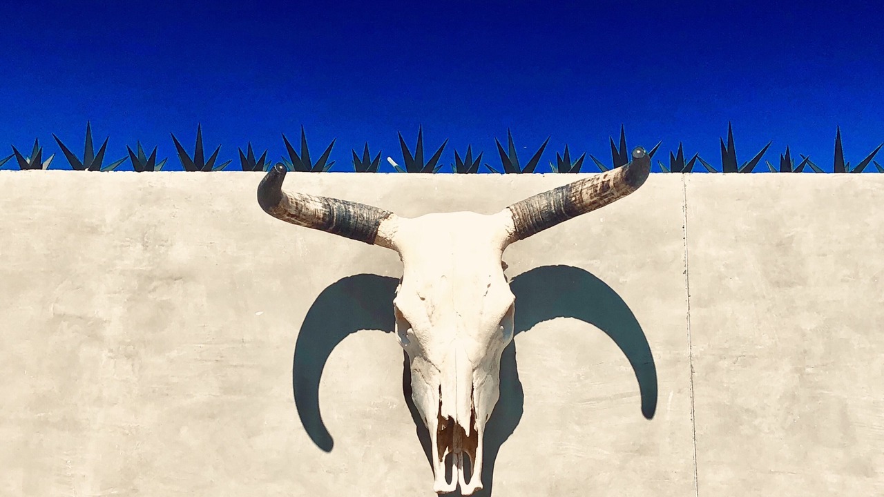 Photo of Outdoor in Buenavista