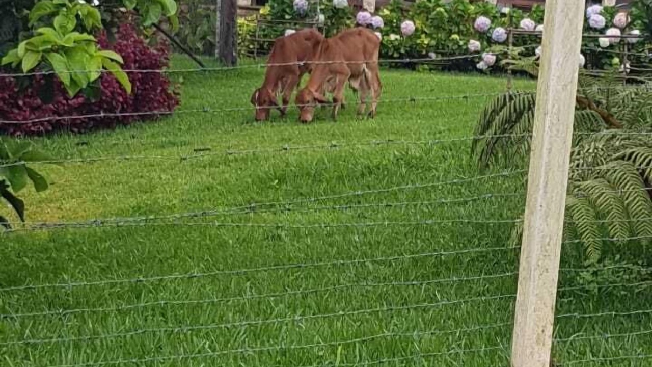 Photo of Outdoor in Alta Verapaz